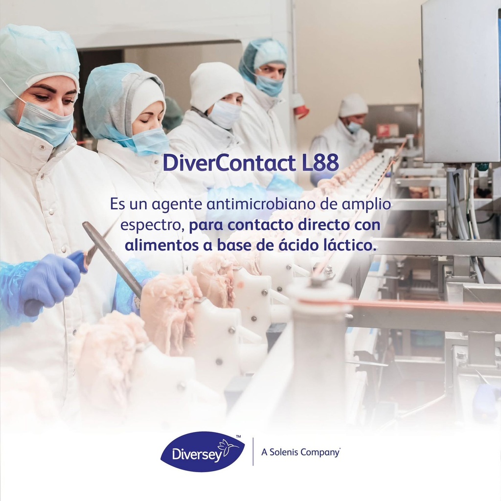 Divercontact L88 Garrafa 24 Kg DIVERSEY  