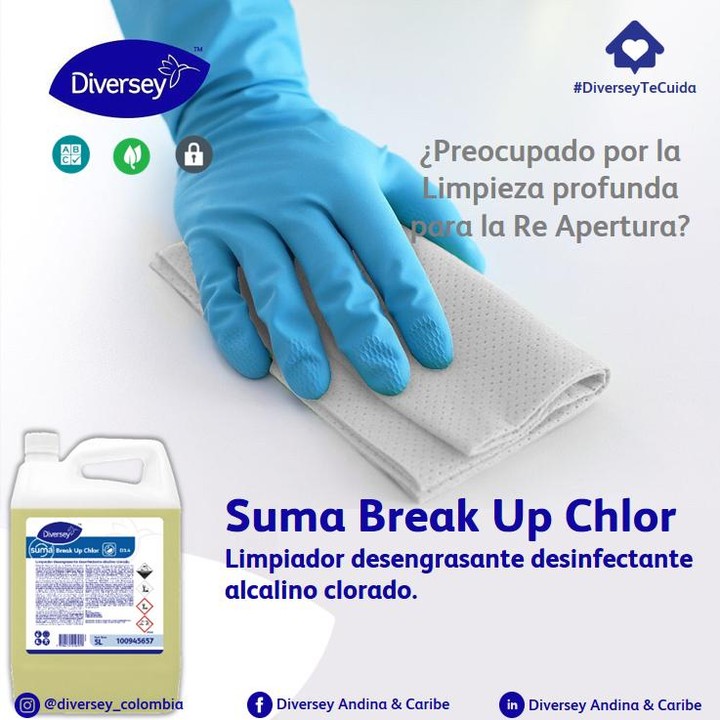 Detergente Clorado Break Up Chlor 5L DIVERSEY
