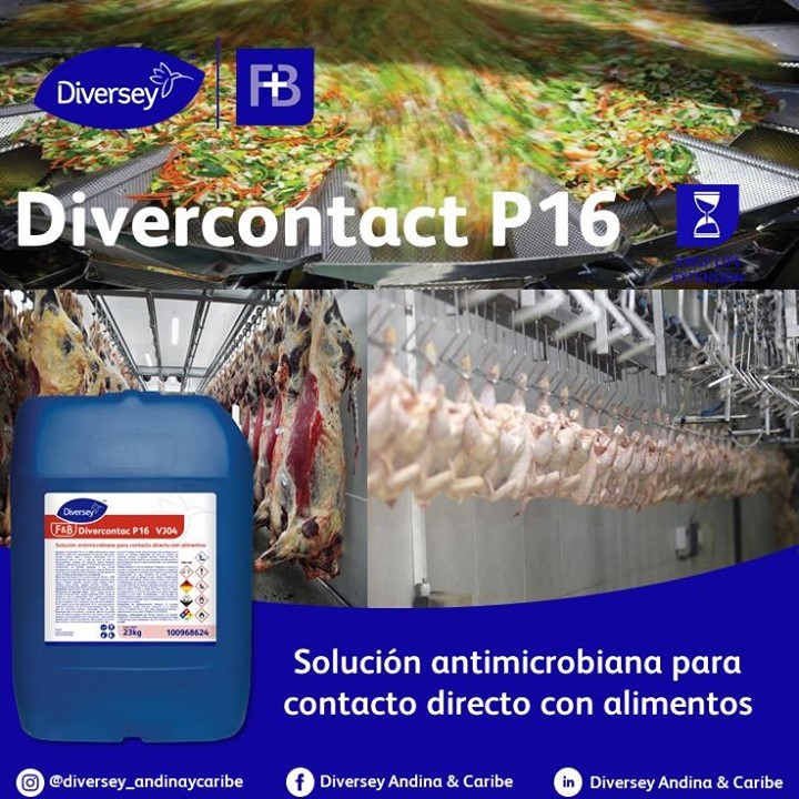 Desinfectante Ácido Peracético Divercontact P16 Garrafa 23 Kg DIVERSEY   
