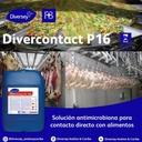 Desinfectante Ácido Peracético Divercontact P16 Garrafa 23 Kg DIVERSEY   